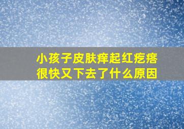 小孩子皮肤痒起红疙瘩很快又下去了什么原因