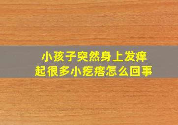 小孩子突然身上发痒起很多小疙瘩怎么回事