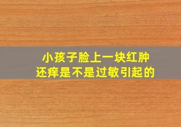 小孩子脸上一块红肿还痒是不是过敏引起的