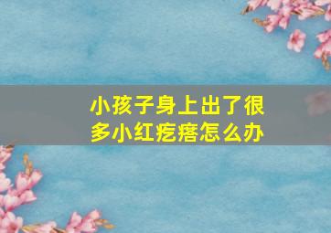 小孩子身上出了很多小红疙瘩怎么办