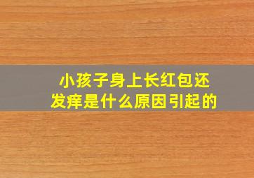 小孩子身上长红包还发痒是什么原因引起的