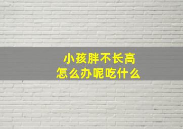 小孩胖不长高怎么办呢吃什么