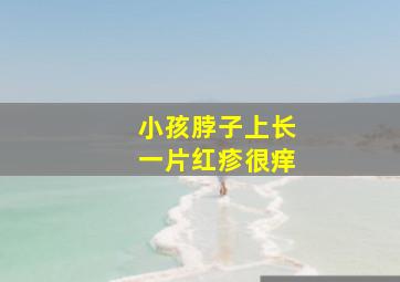 小孩脖子上长一片红疹很痒