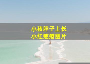 小孩脖子上长小红疙瘩图片