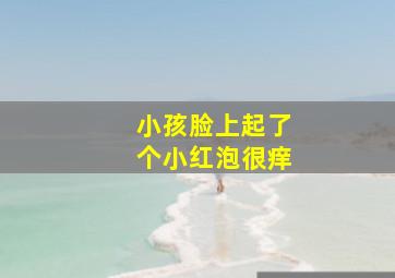 小孩脸上起了个小红泡很痒