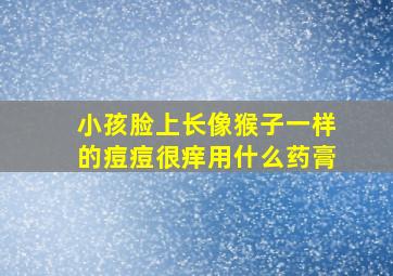 小孩脸上长像猴子一样的痘痘很痒用什么药膏