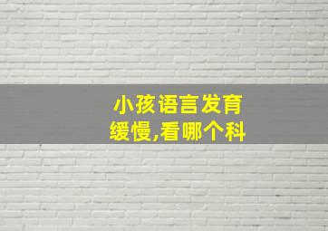 小孩语言发育缓慢,看哪个科