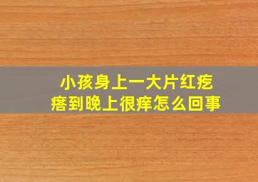 小孩身上一大片红疙瘩到晚上很痒怎么回事