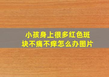 小孩身上很多红色斑块不痛不痒怎么办图片