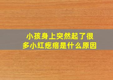 小孩身上突然起了很多小红疙瘩是什么原因