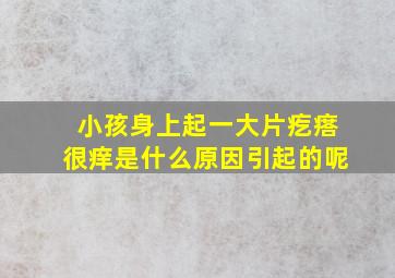 小孩身上起一大片疙瘩很痒是什么原因引起的呢