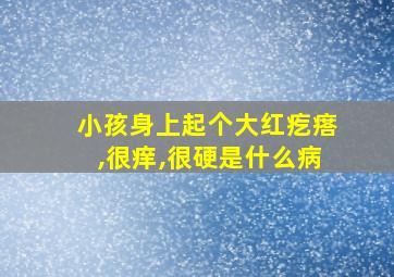 小孩身上起个大红疙瘩,很痒,很硬是什么病