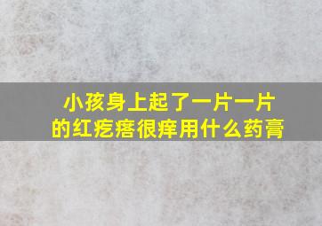 小孩身上起了一片一片的红疙瘩很痒用什么药膏