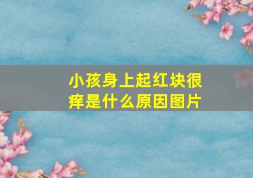 小孩身上起红块很痒是什么原因图片