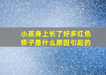 小孩身上长了好多红色疹子是什么原因引起的