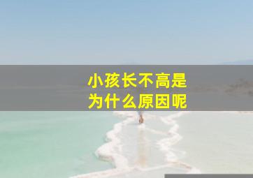 小孩长不高是为什么原因呢