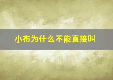 小布为什么不能直接叫