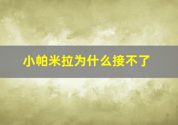 小帕米拉为什么接不了