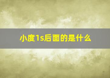 小度1s后面的是什么