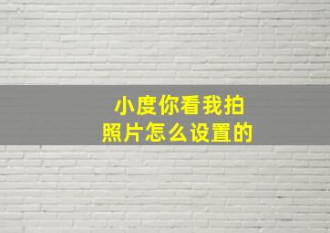 小度你看我拍照片怎么设置的