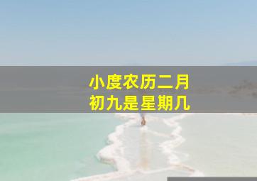 小度农历二月初九是星期几