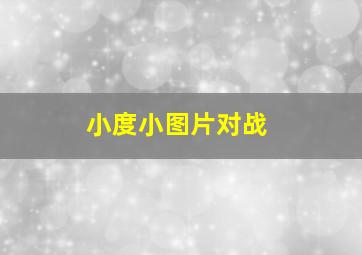 小度小图片对战