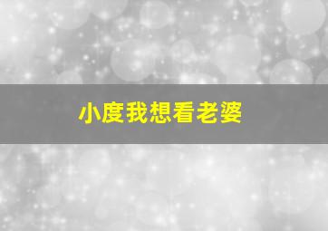 小度我想看老婆