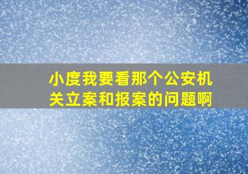 小度我要看那个公安机关立案和报案的问题啊