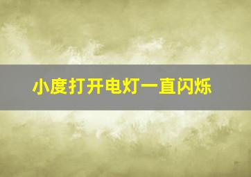 小度打开电灯一直闪烁