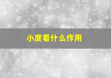 小度看什么作用