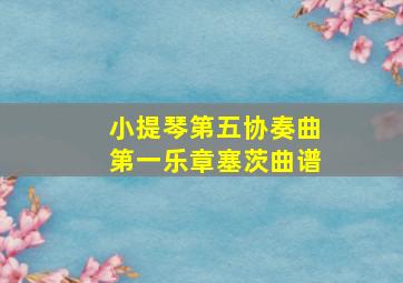 小提琴第五协奏曲第一乐章塞茨曲谱