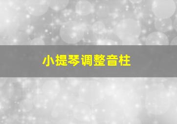 小提琴调整音柱