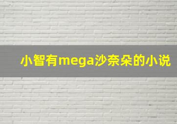 小智有mega沙奈朵的小说