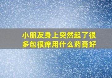 小朋友身上突然起了很多包很痒用什么药膏好