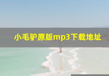 小毛驴原版mp3下载地址