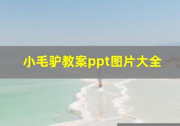 小毛驴教案ppt图片大全