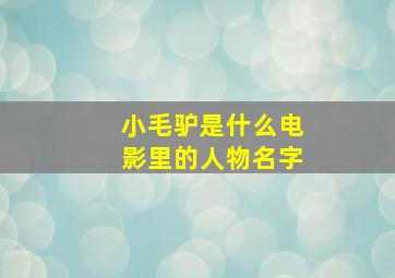 小毛驴是什么电影里的人物名字