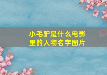 小毛驴是什么电影里的人物名字图片