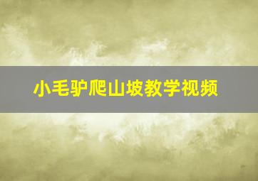 小毛驴爬山坡教学视频