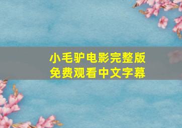 小毛驴电影完整版免费观看中文字幕