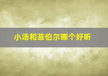 小汤和菲伯尔哪个好听