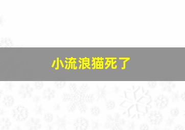 小流浪猫死了