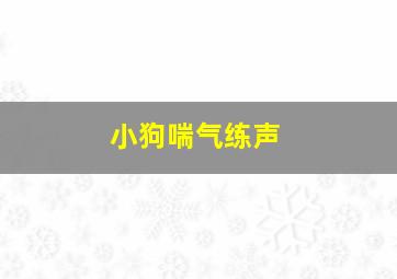 小狗喘气练声