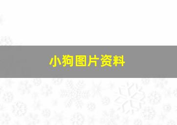 小狗图片资料