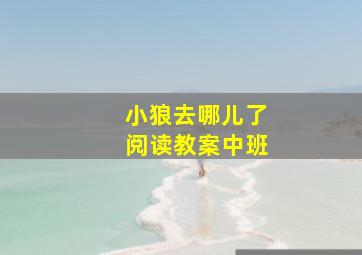 小狼去哪儿了阅读教案中班