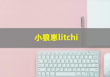 小狼崽litchi