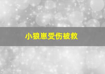 小狼崽受伤被救