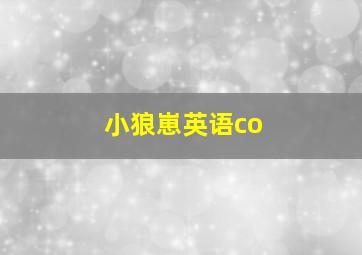 小狼崽英语co