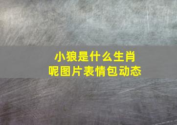 小狼是什么生肖呢图片表情包动态