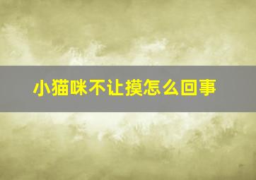 小猫咪不让摸怎么回事